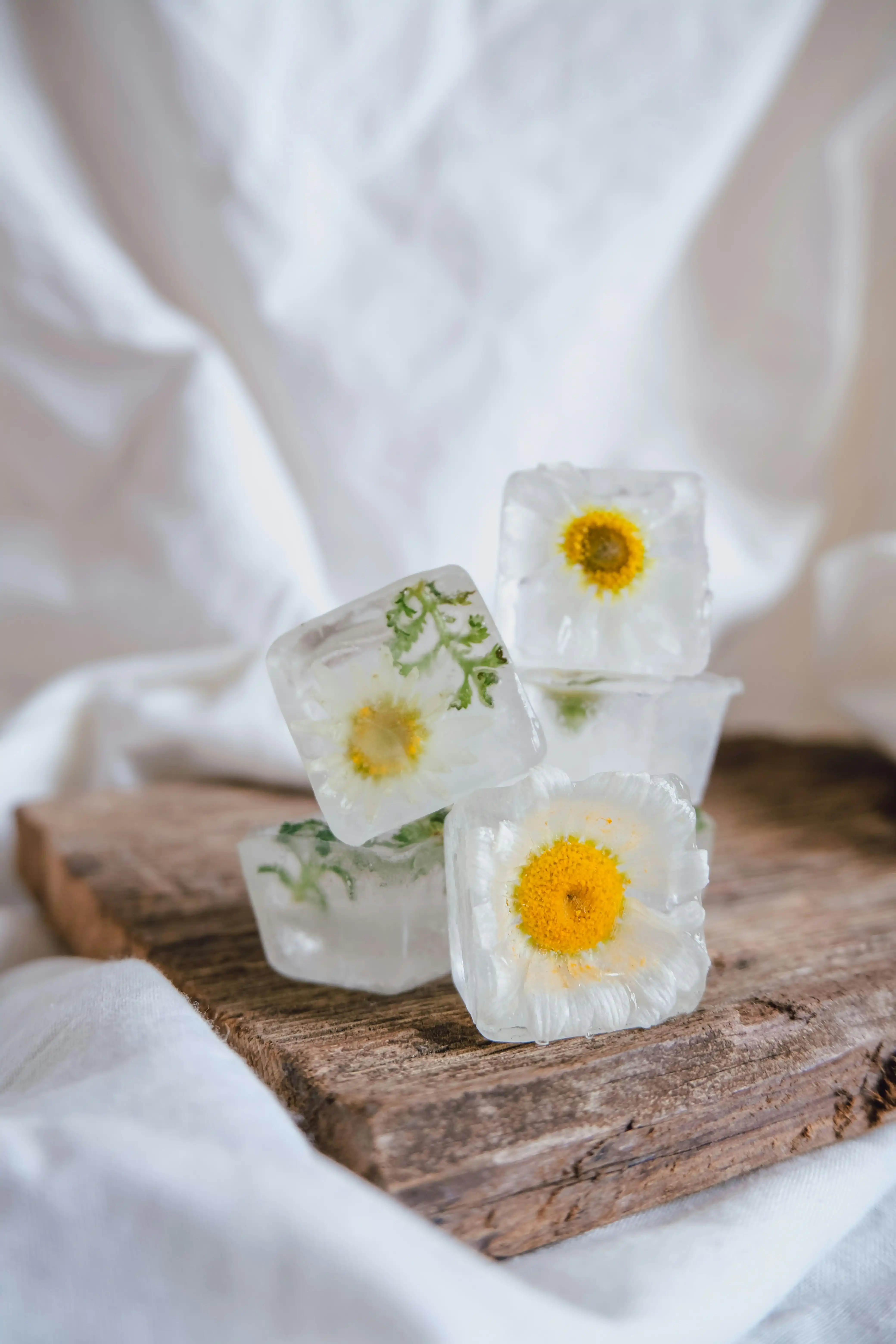 hello-aesthe-x3bHZtMENHw-unsplash